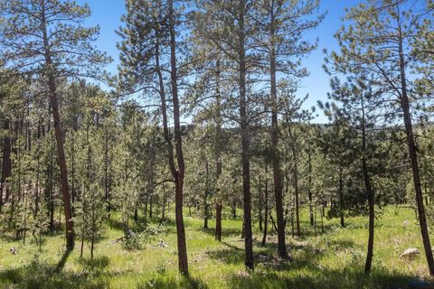 TBD PARADISE LN Rapid City SD 57702