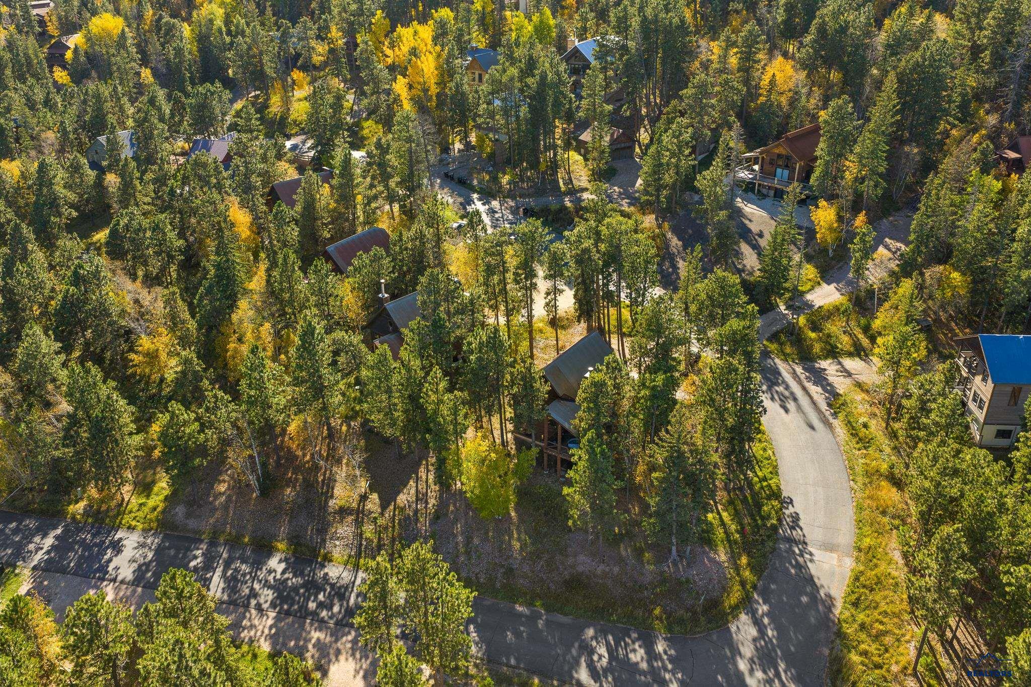 21152 GILDED MOUNTAIN LP