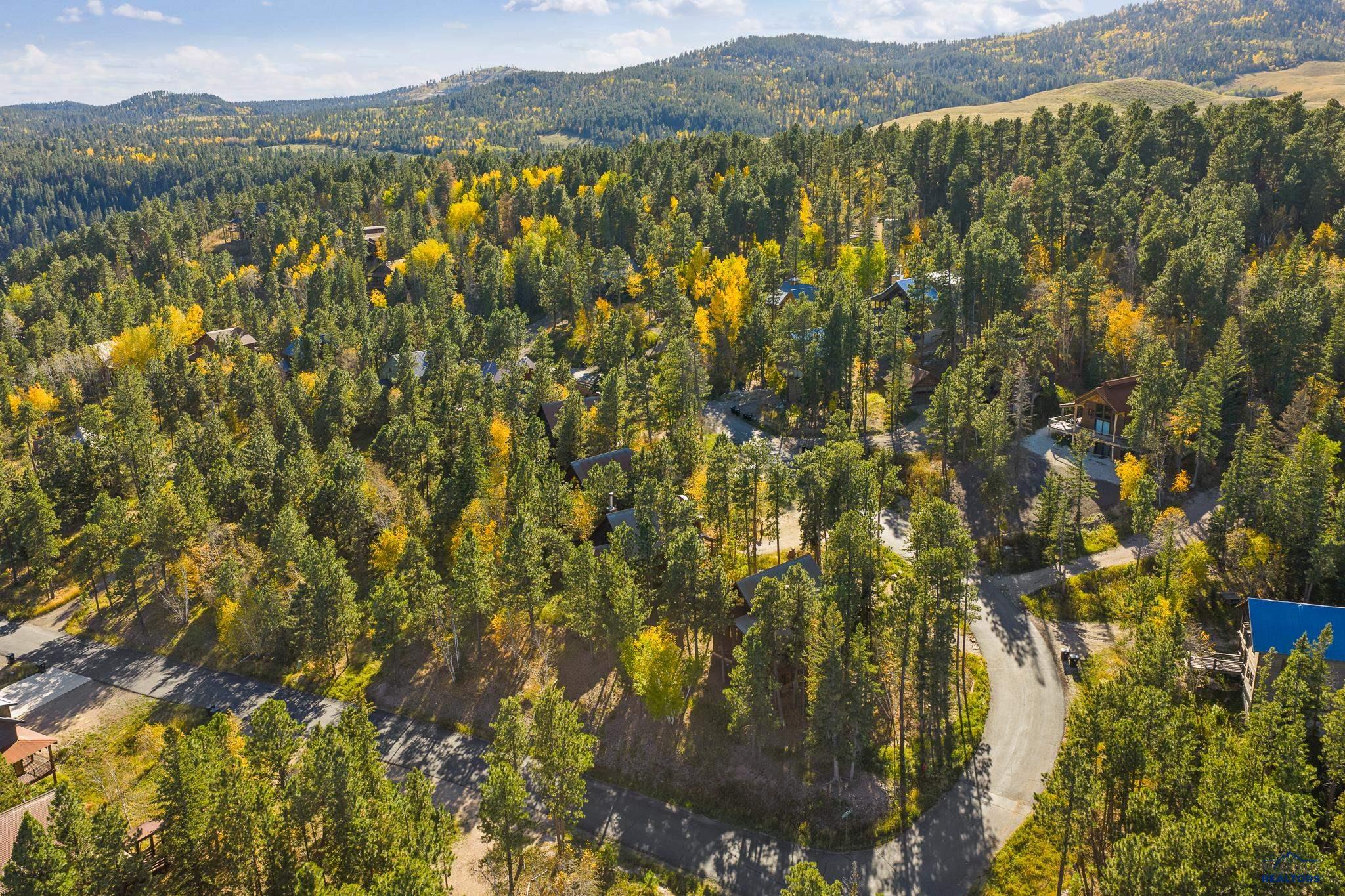 21152 GILDED MOUNTAIN LP