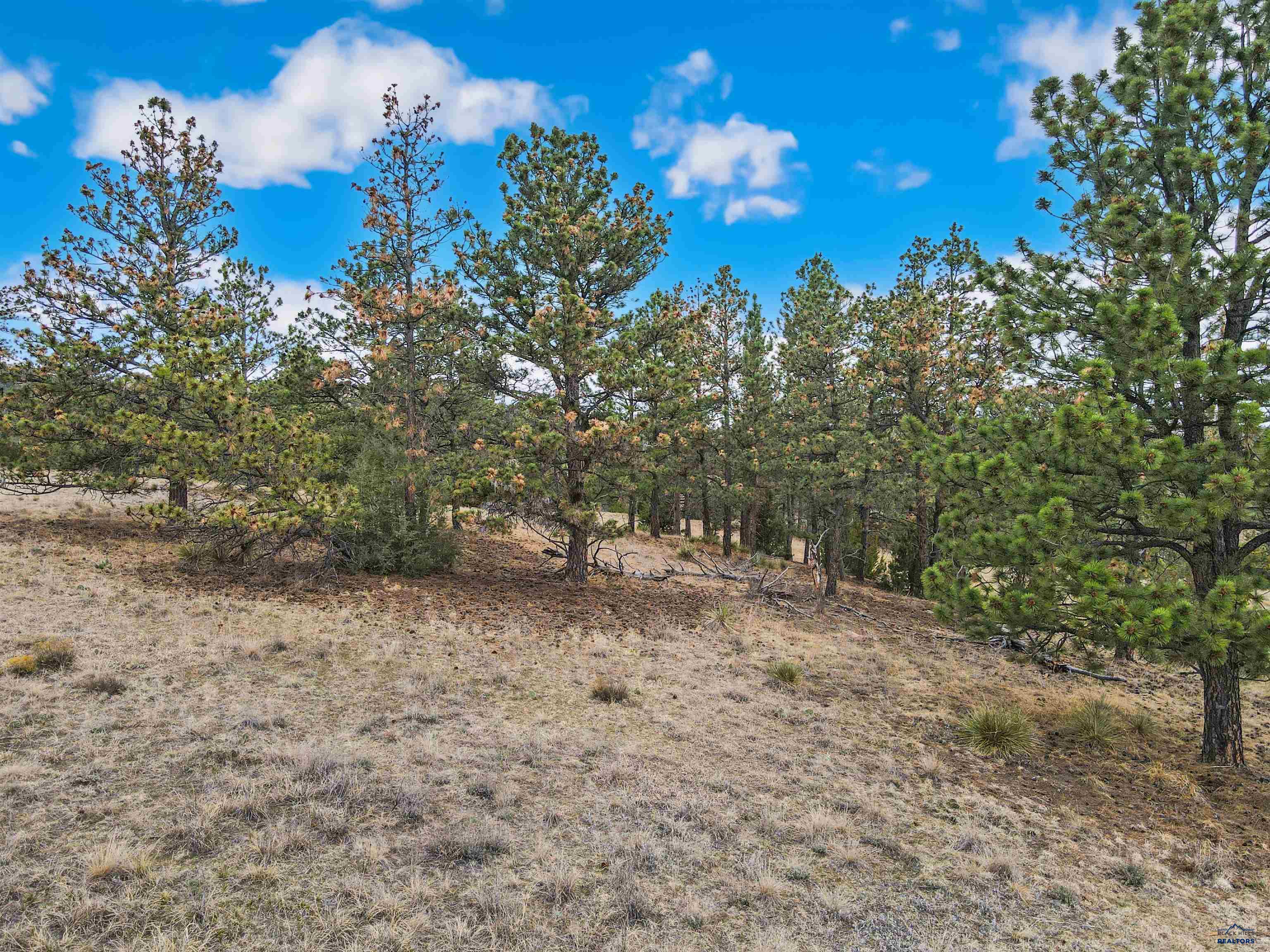 Lot 6 LAKE HILLS RD