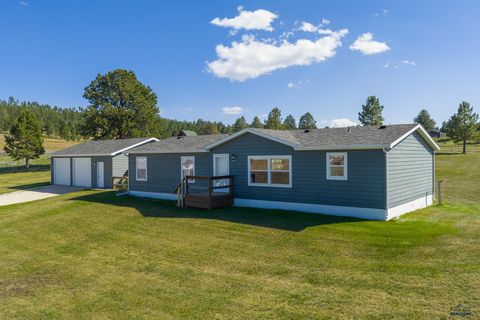 25436 SIDNEY PARK RD Custer SD 57730