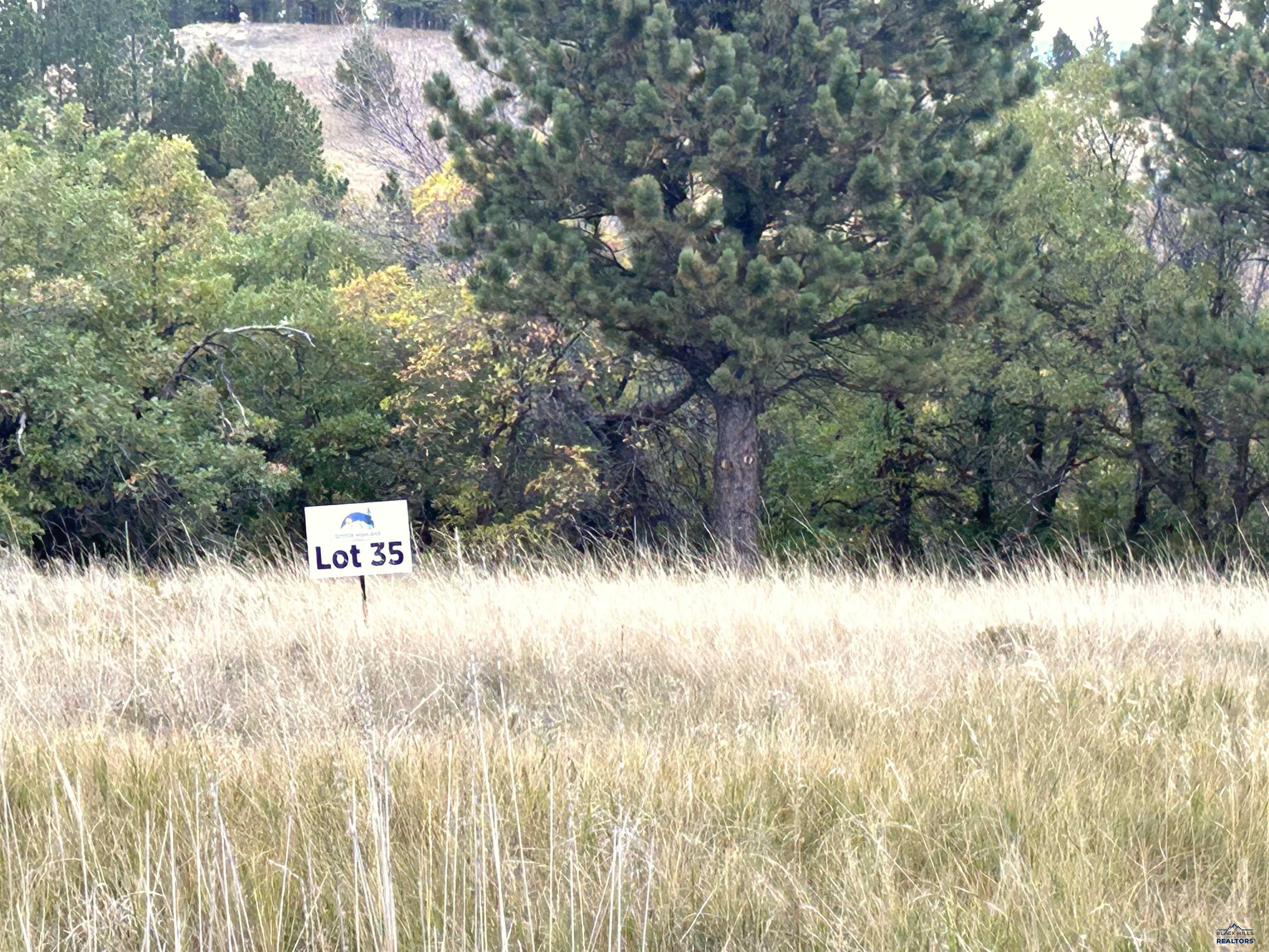 Lot 35 PRAIRIE VIEW LOOP