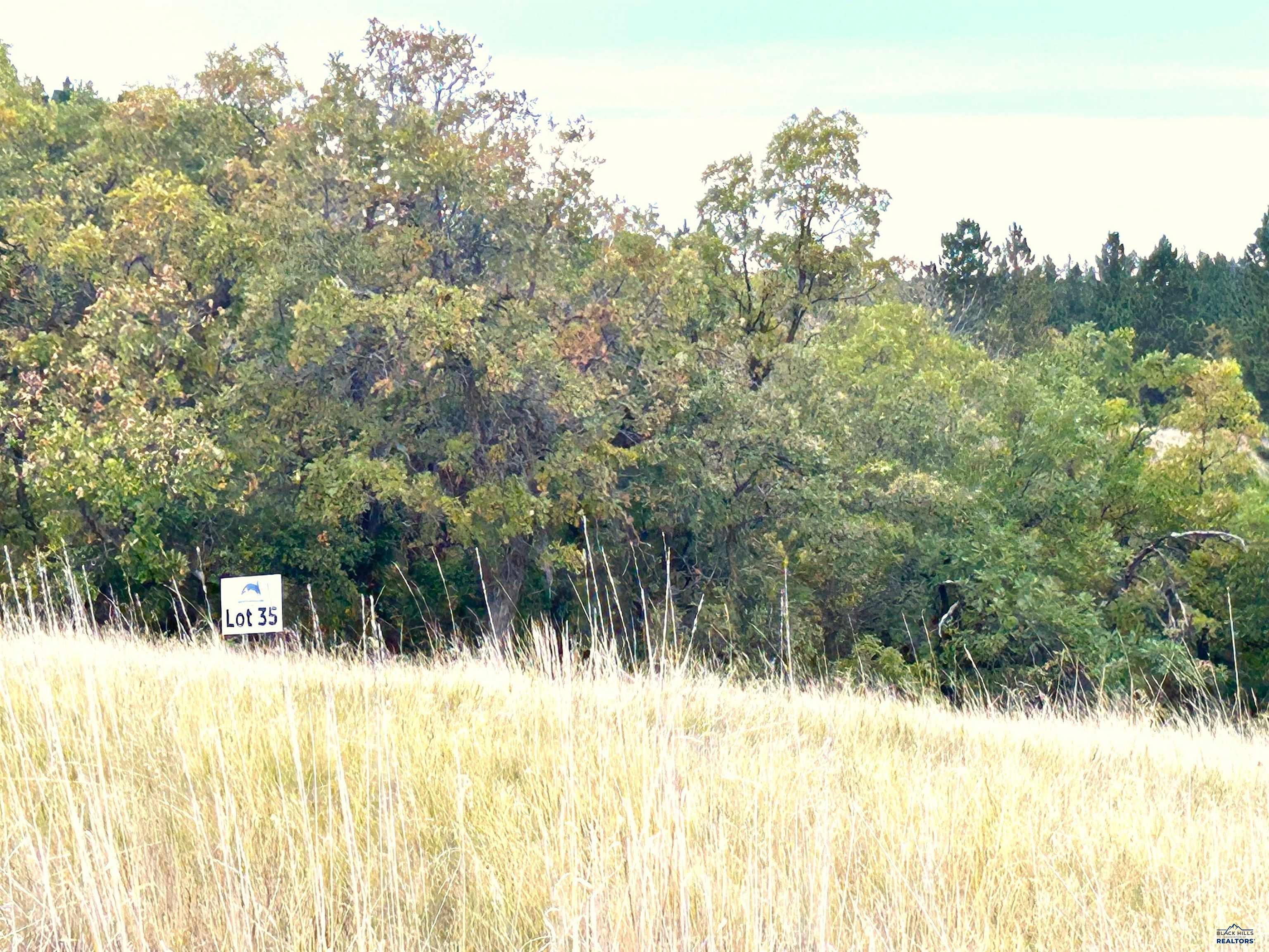 Lot 35 PRAIRIE VIEW LOOP