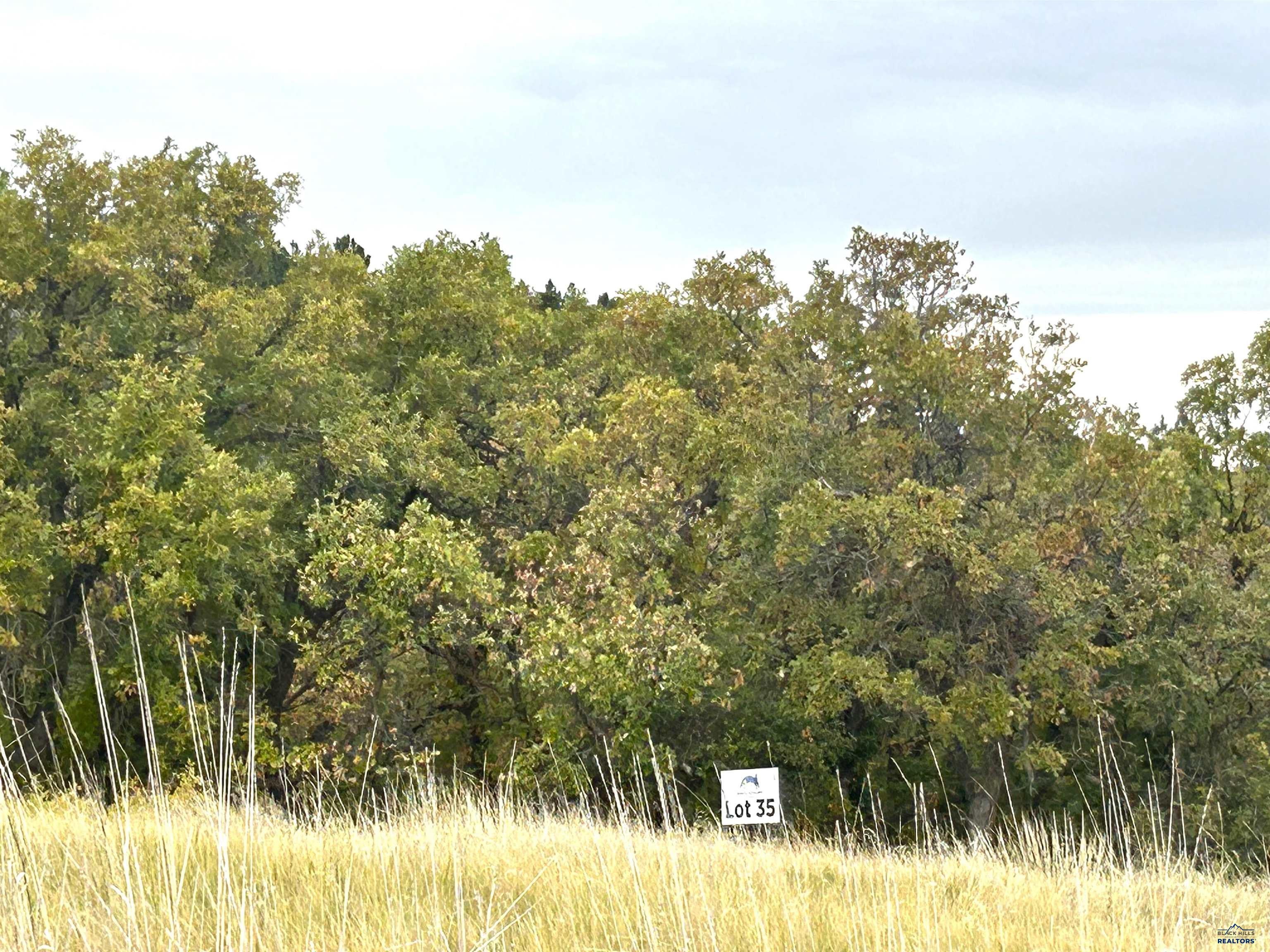 Lot 35 PRAIRIE VIEW LOOP