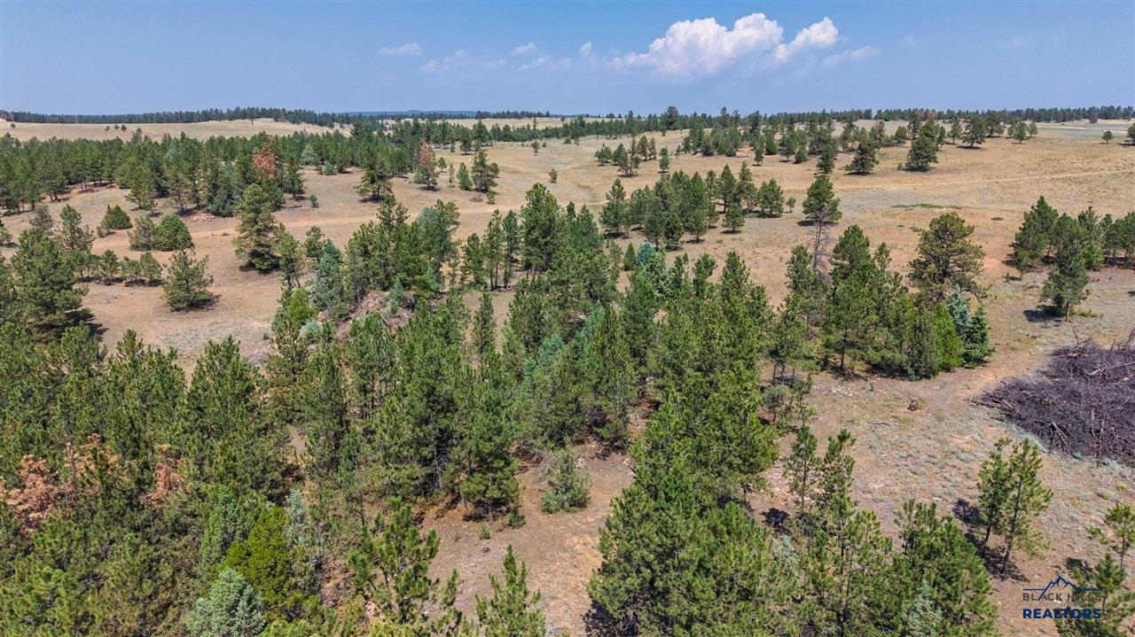 40 acres Farmer Road