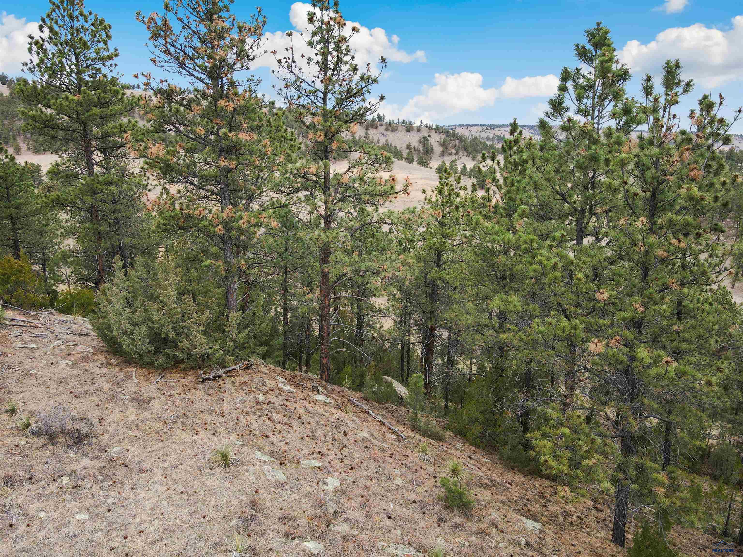 Lot 2 LAKE HILLS RD