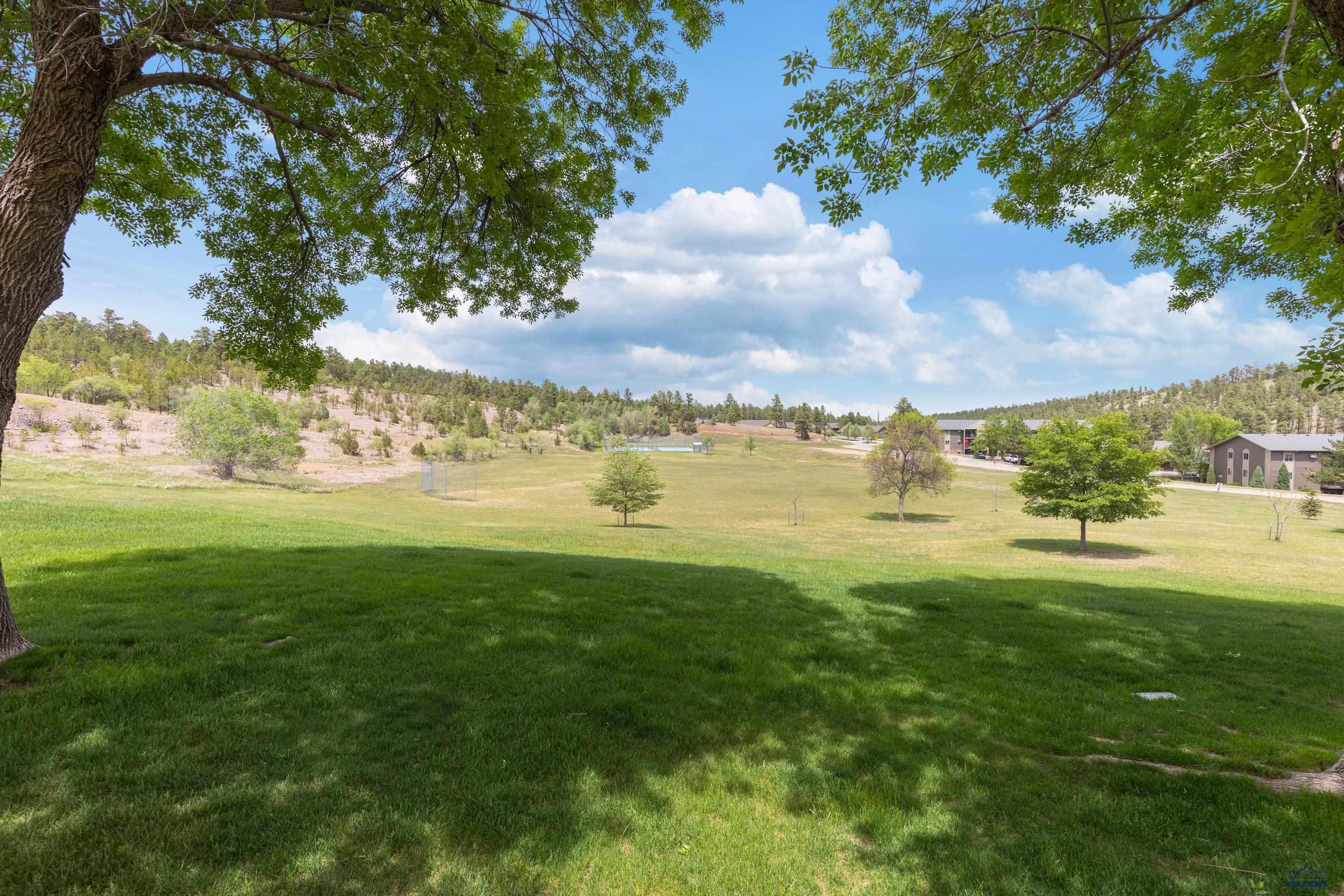 4834 MOUNTAIN SPRINGS CT