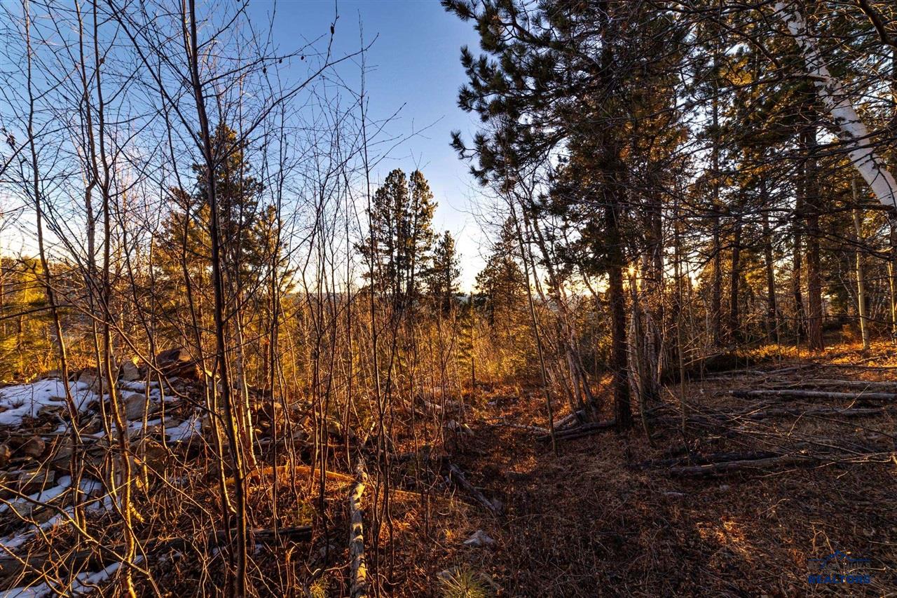 Lot 10 Wapiti Road
