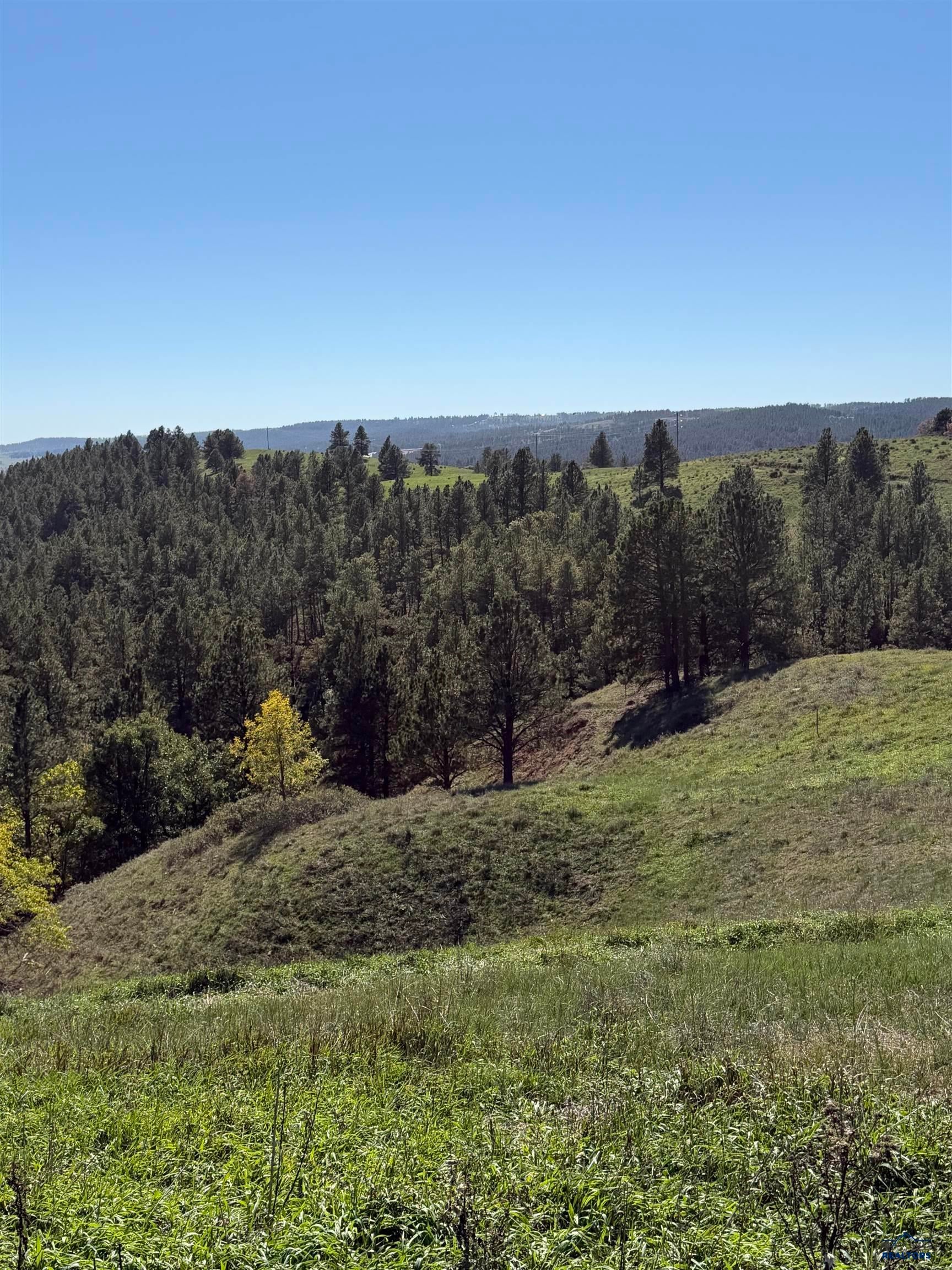 TBD MOON MEADOWS DR