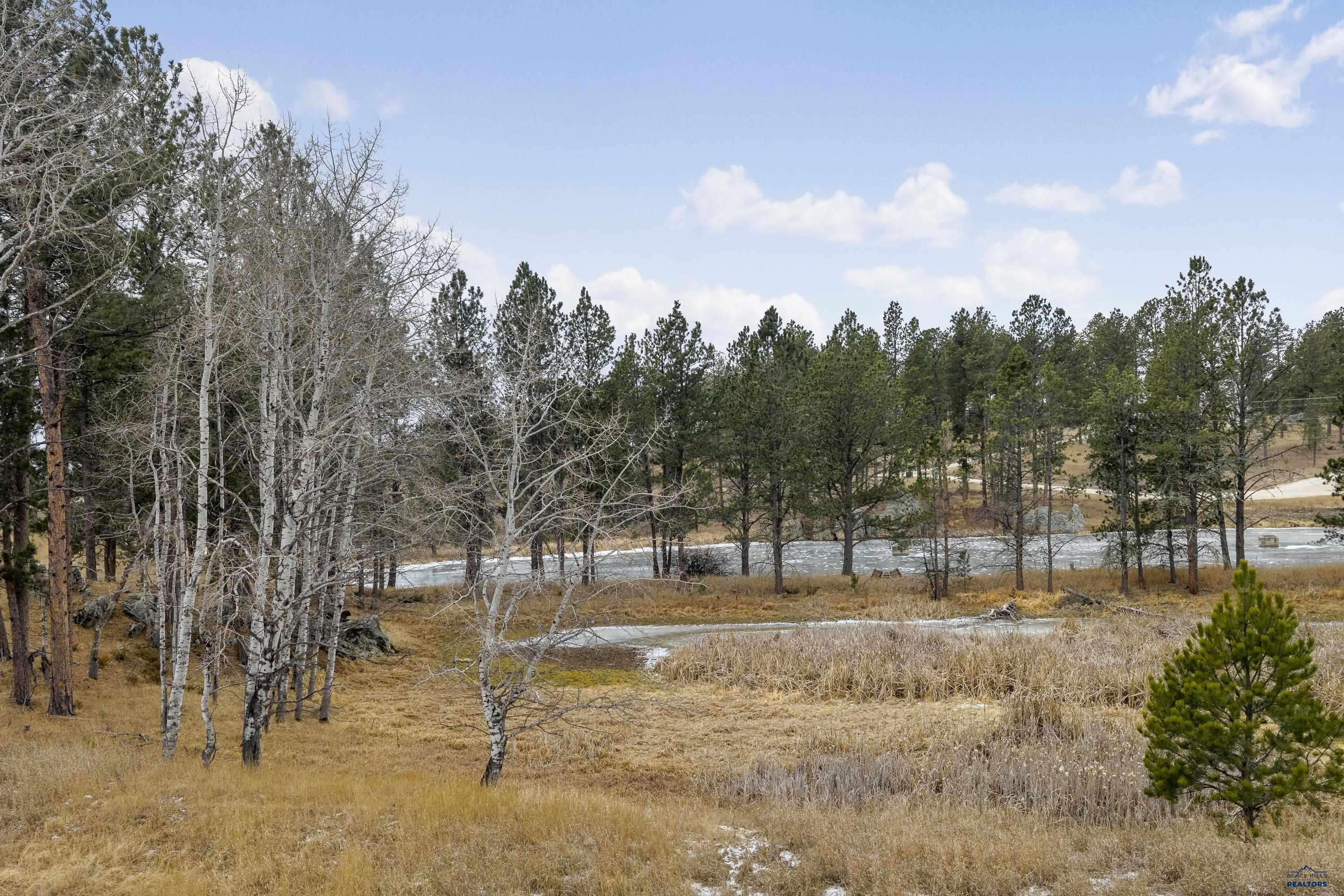 12355 STAR VALLEY DR