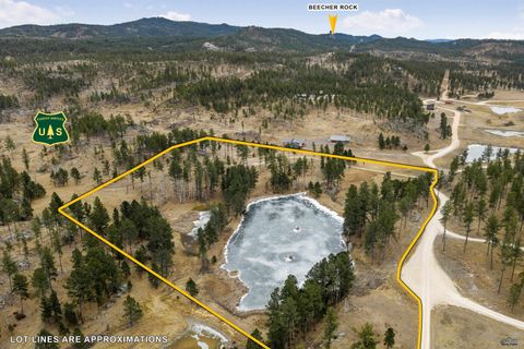 12355 STAR VALLEY DR Custer SD 57730