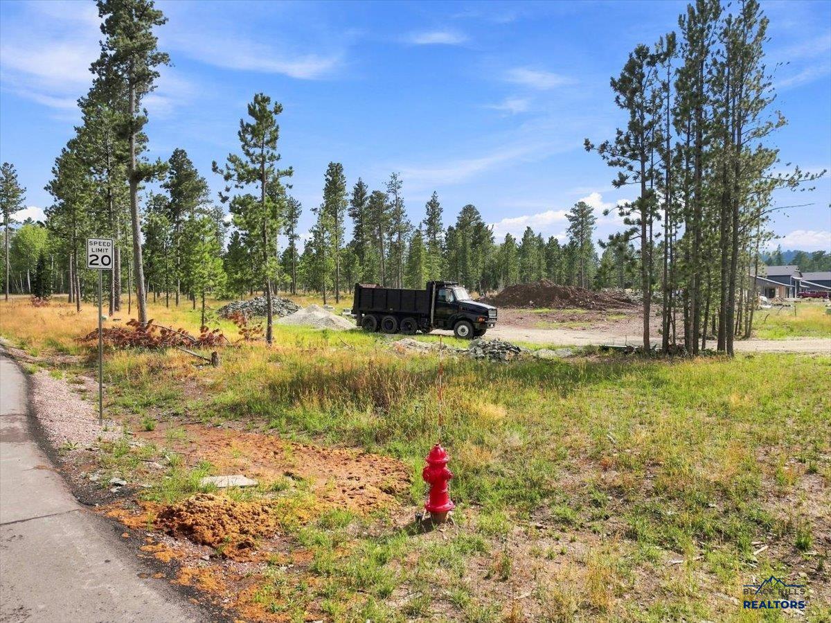 Lots 2A & 2B Black Forest Road