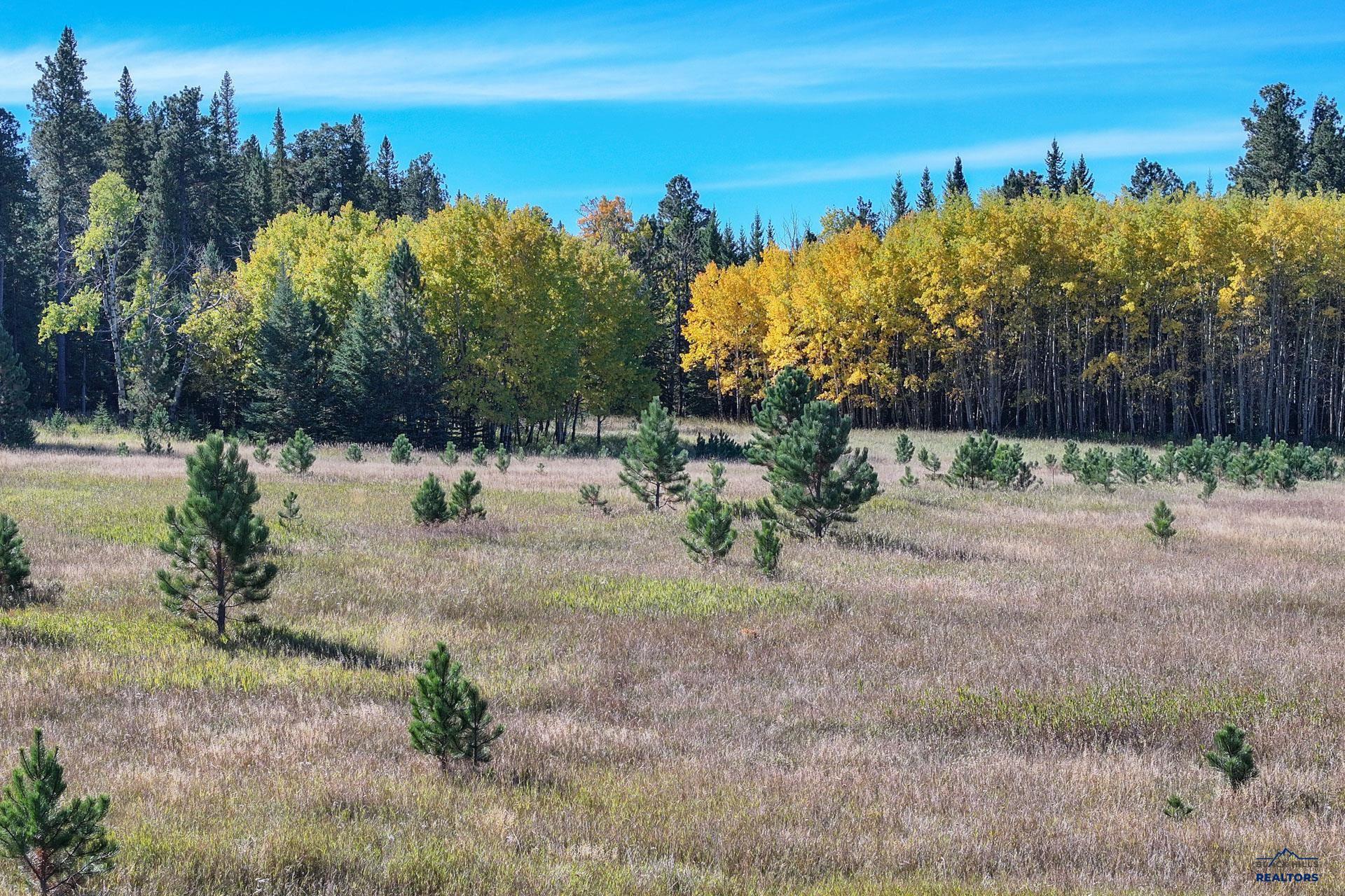 TBD ASPEN LOOKOUT LP