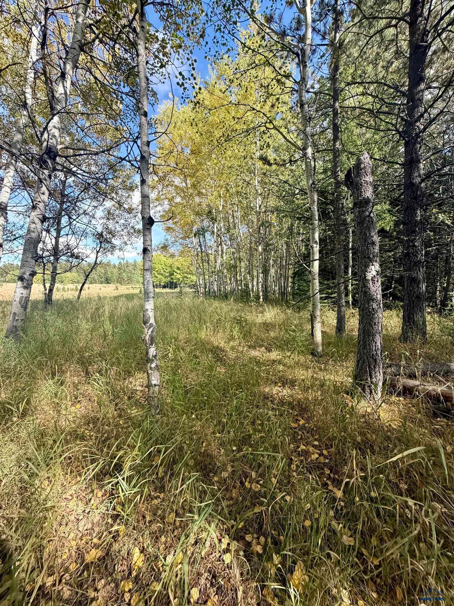 TBD ASPEN LOOKOUT LP