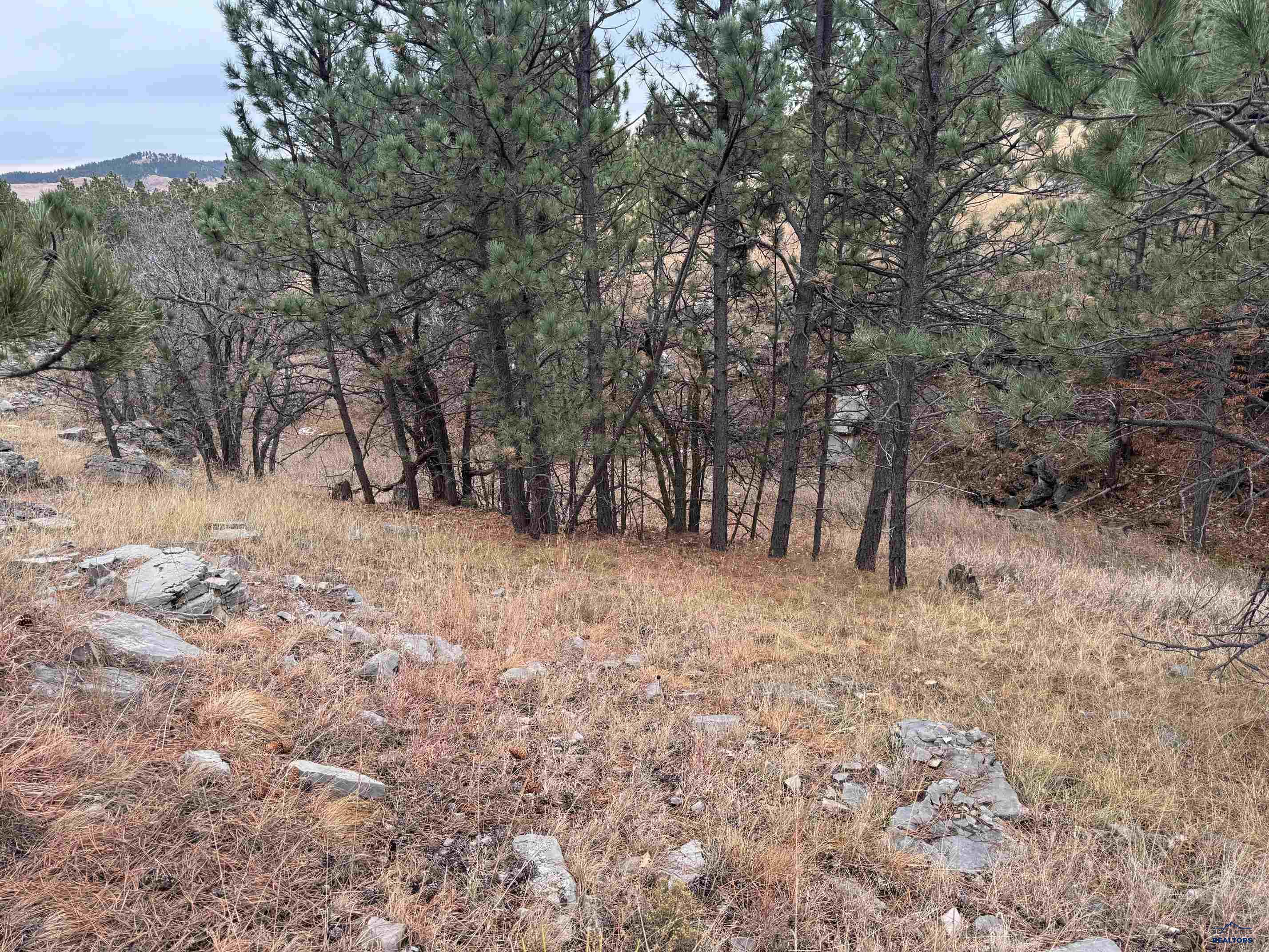 TBD LINCOLN TARKEN LN