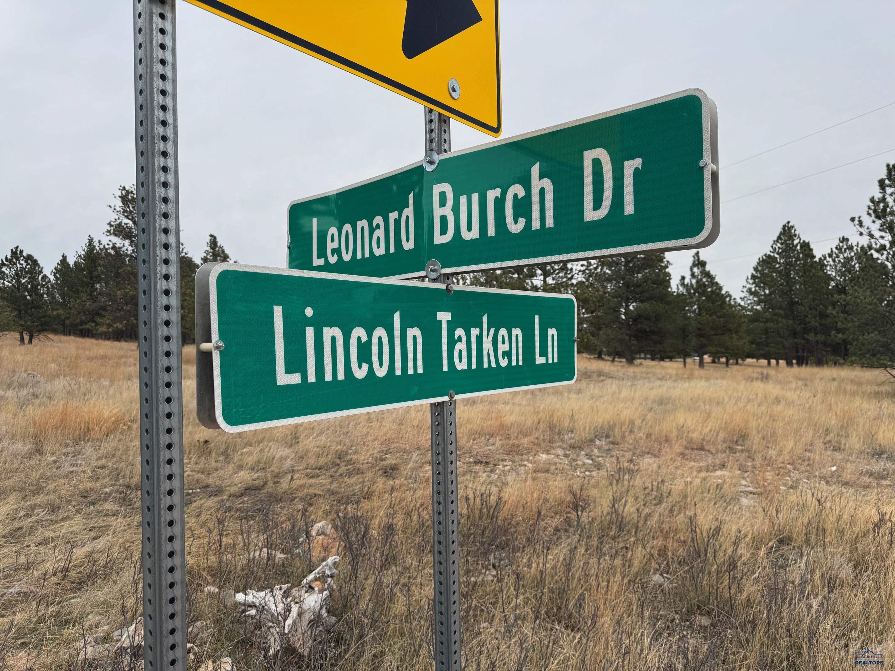 TBD LINCOLN TARKEN LN