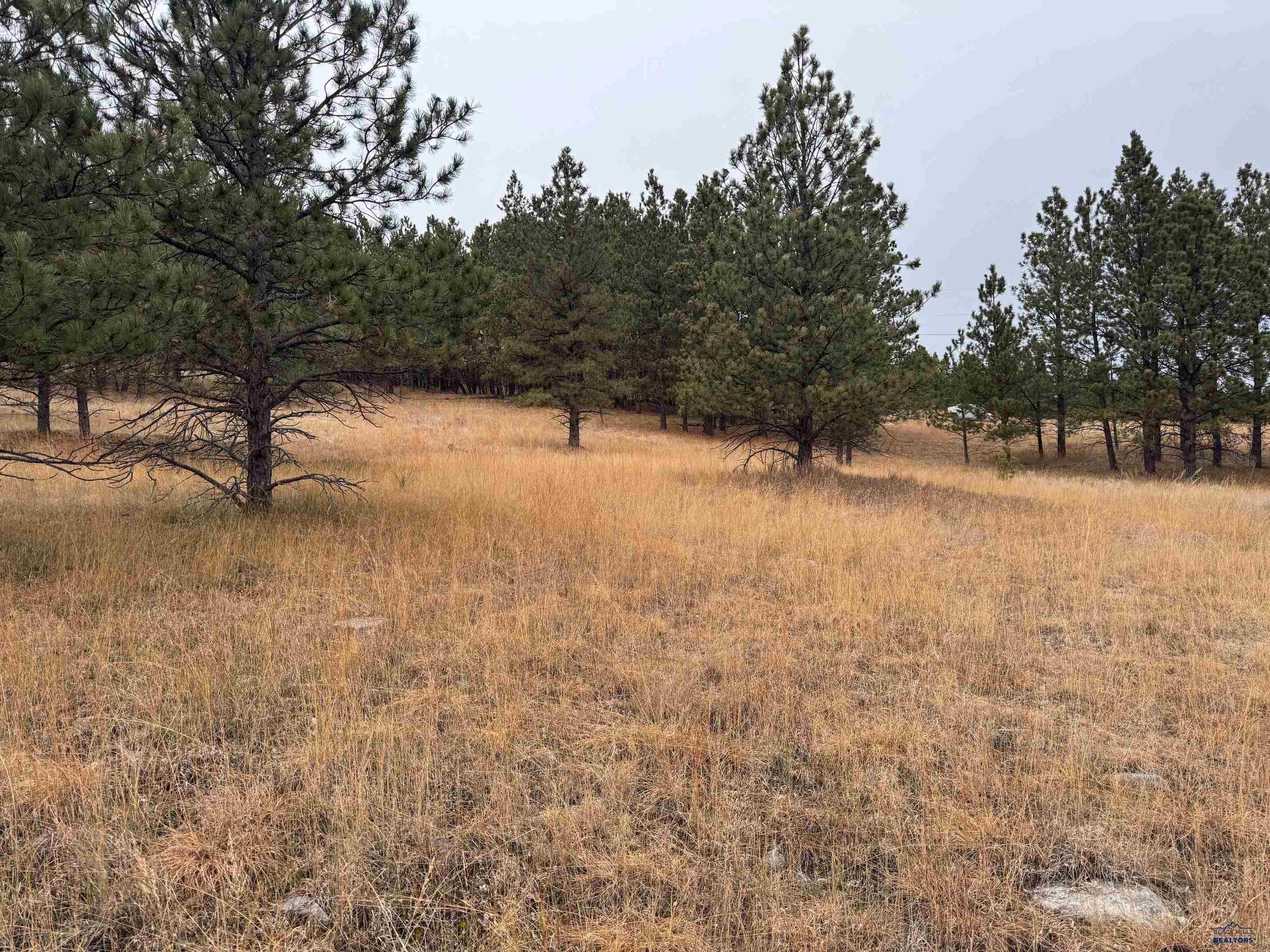 TBD LINCOLN TARKEN LN