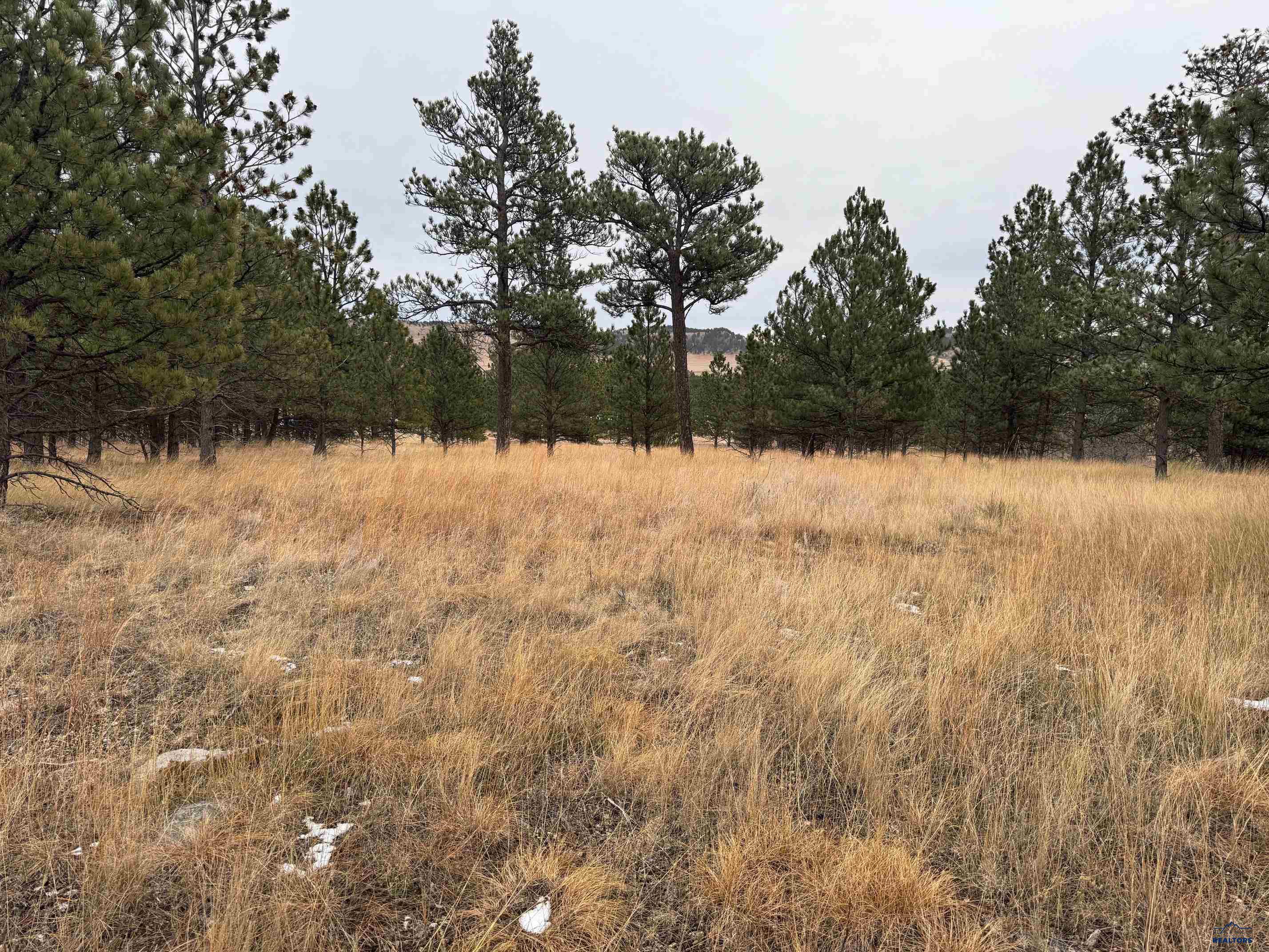 TBD LINCOLN TARKEN LN