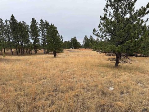 TBD LINCOLN TARKEN LN Piedmont SD 57769