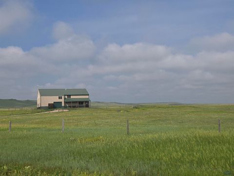 22219 SADDLE RD Piedmont SD 57769