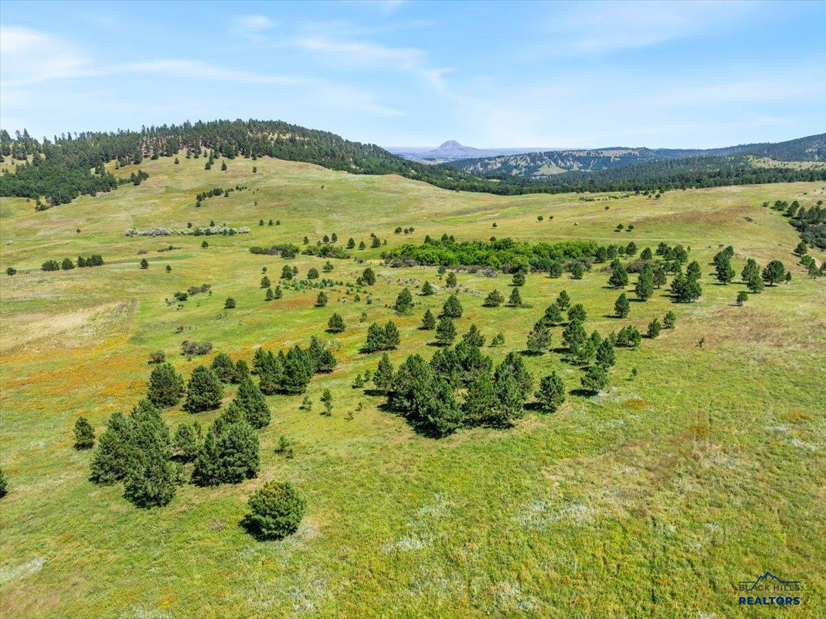 149.82+/- Acres OTHER