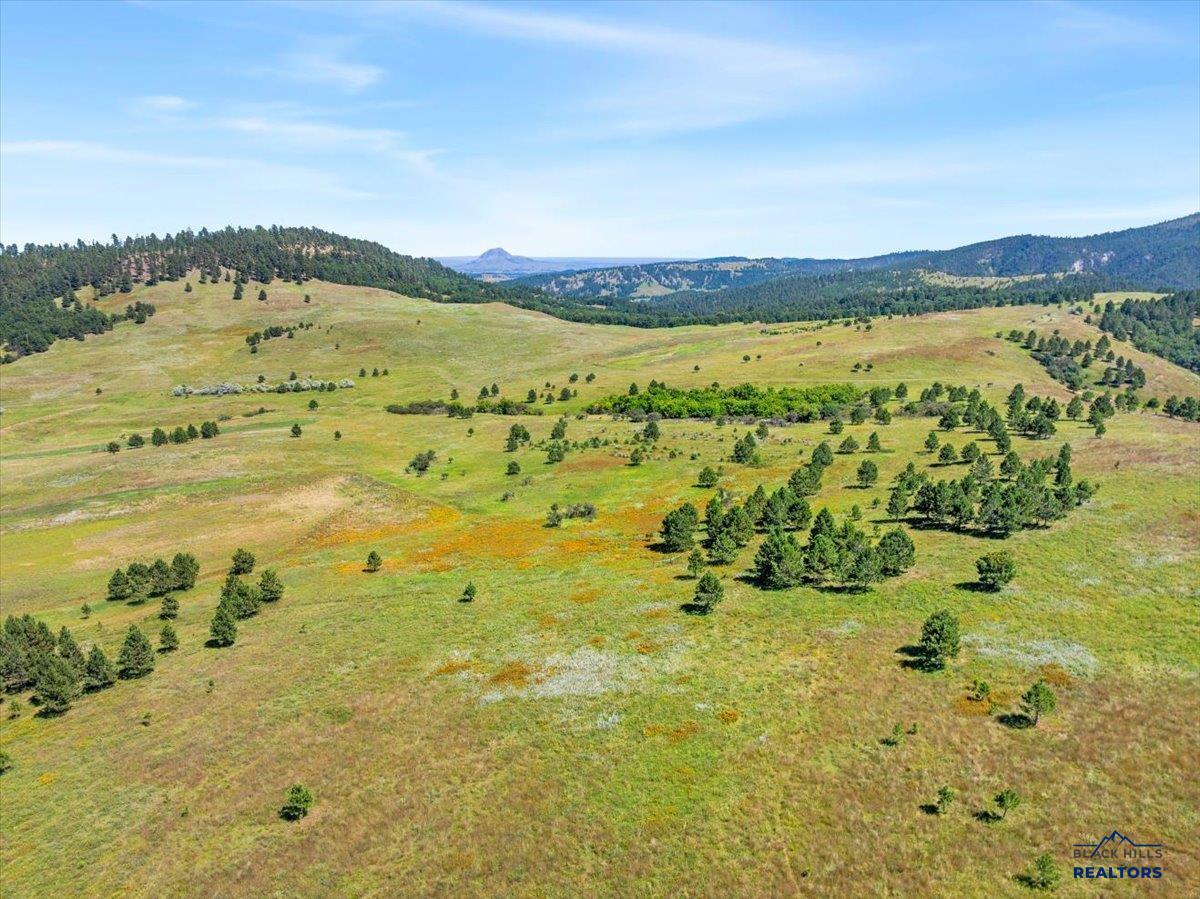 149.82+/- Acres OTHER