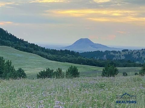 149.82+/- Acres OTHER Whitewood SD 57793