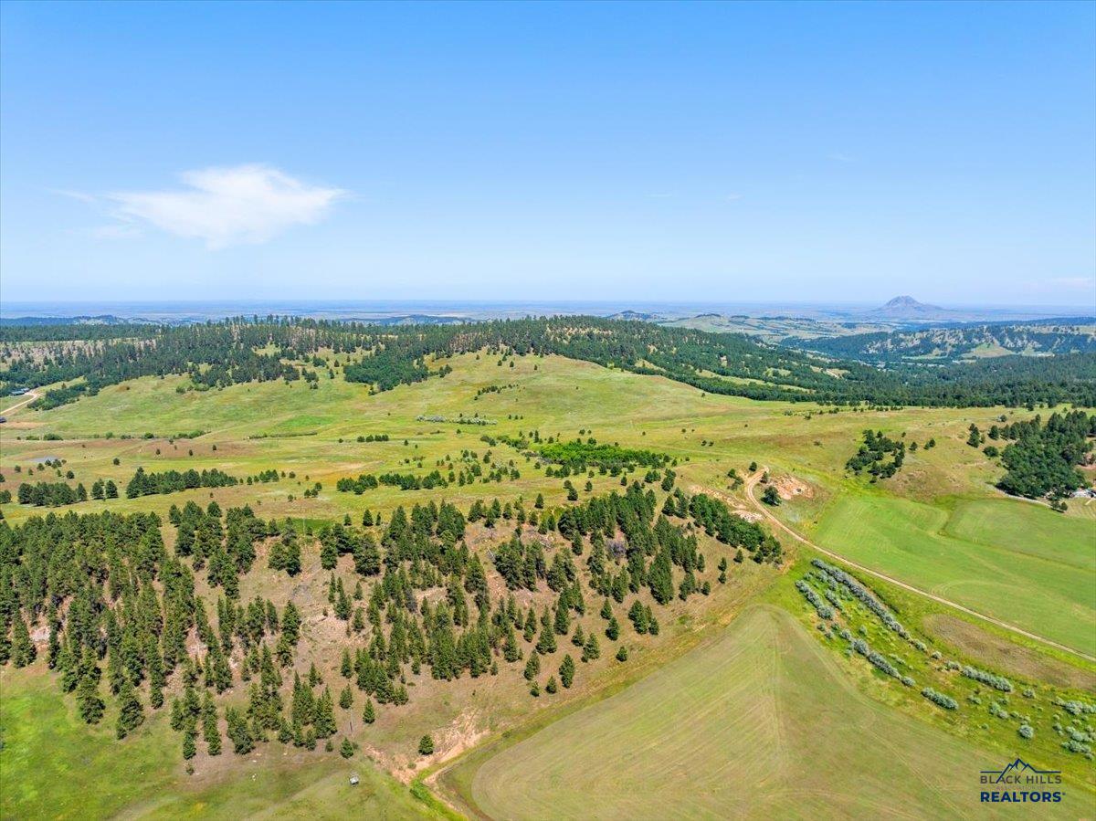 149.82+/- Acres OTHER