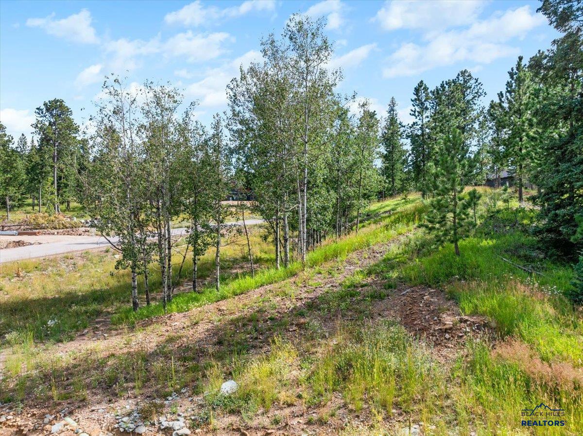 Lot 7 Block 11 OTHER