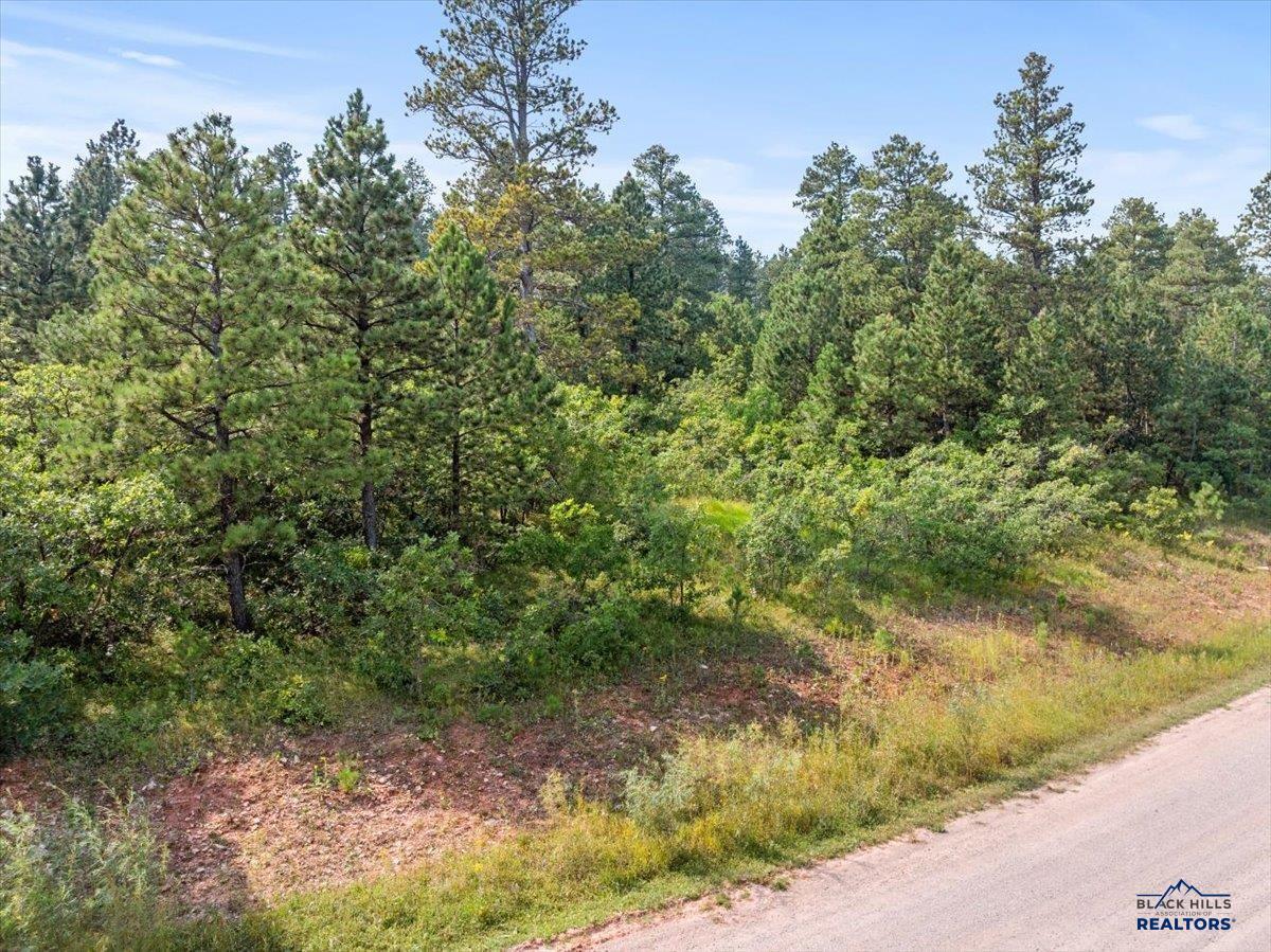 Lot 5 Block 5 TANAGER CT