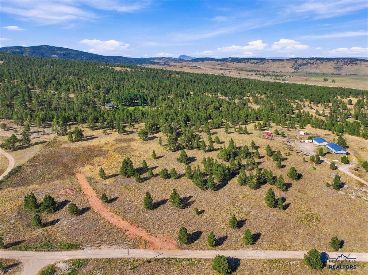 13054 HOMER SMITH RD