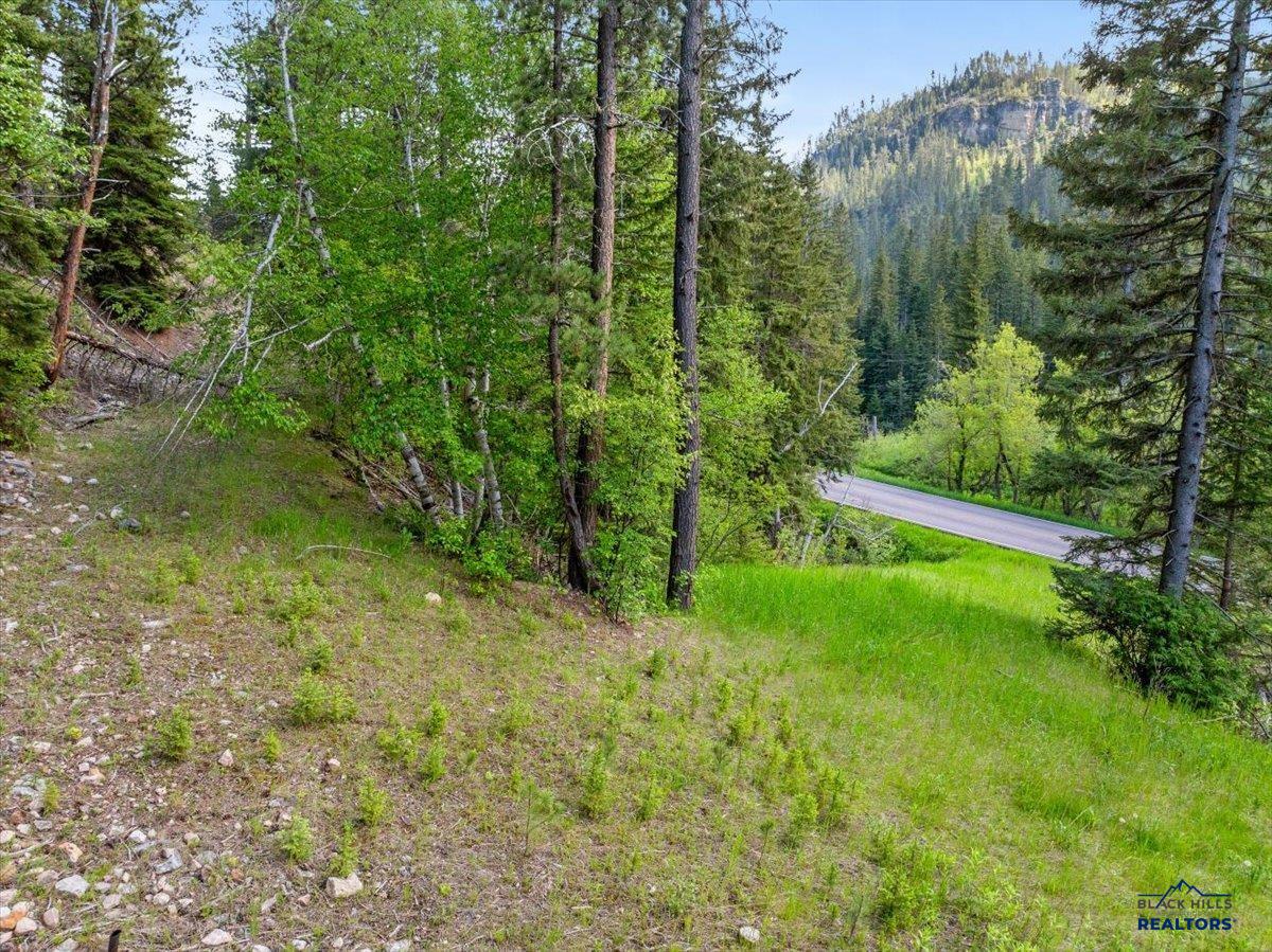 Photo 1 of 10 — M.S. 1742 Lot 2 HWY 14A, Lead, SD 57754