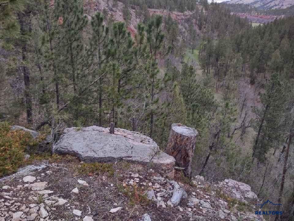 24618 SADDLE RIDGE