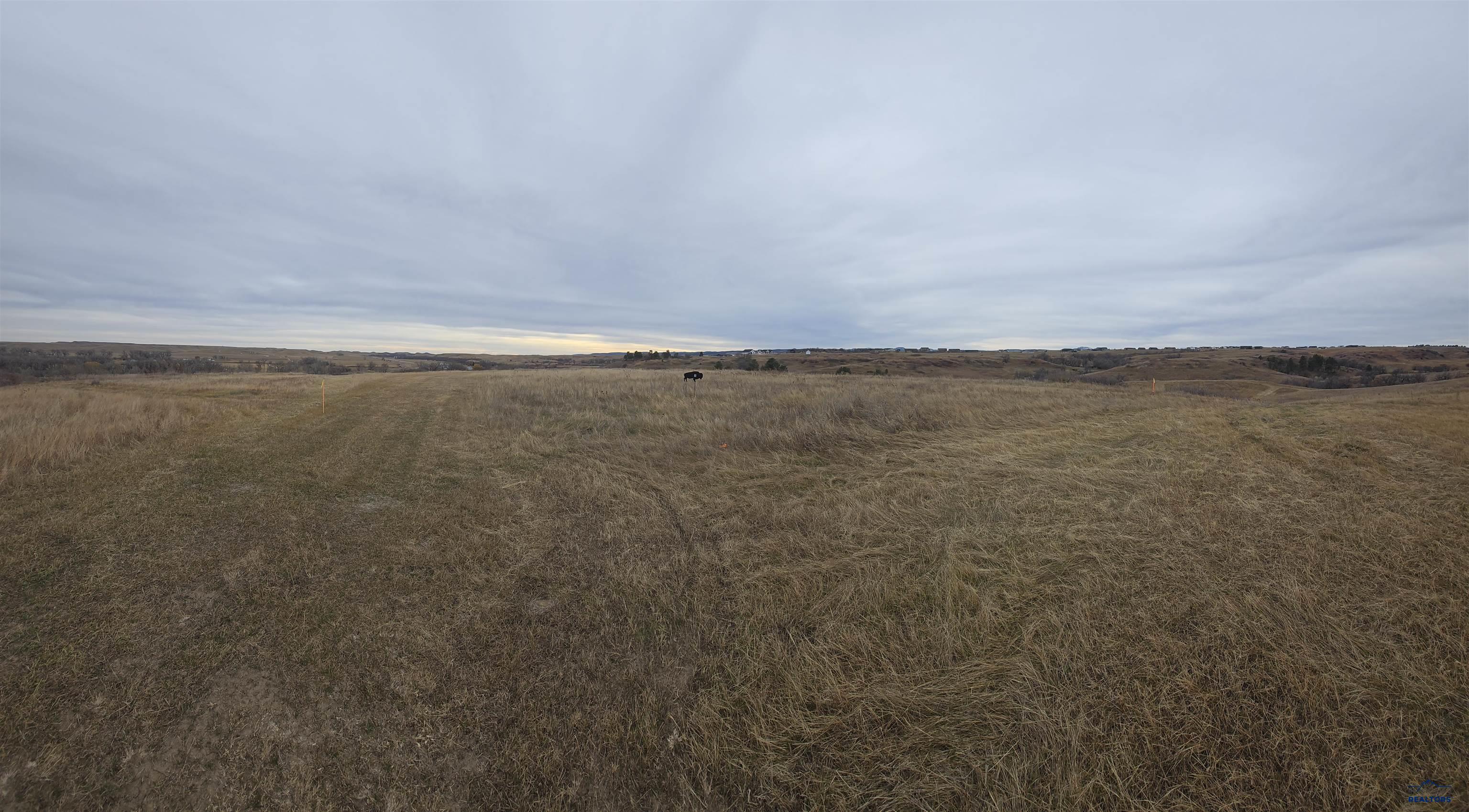 TBD Lot 5 BUFFALO VIEW CT