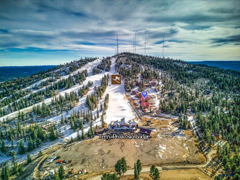 21154 STEWART SLOPE CIR Lead SD 57754