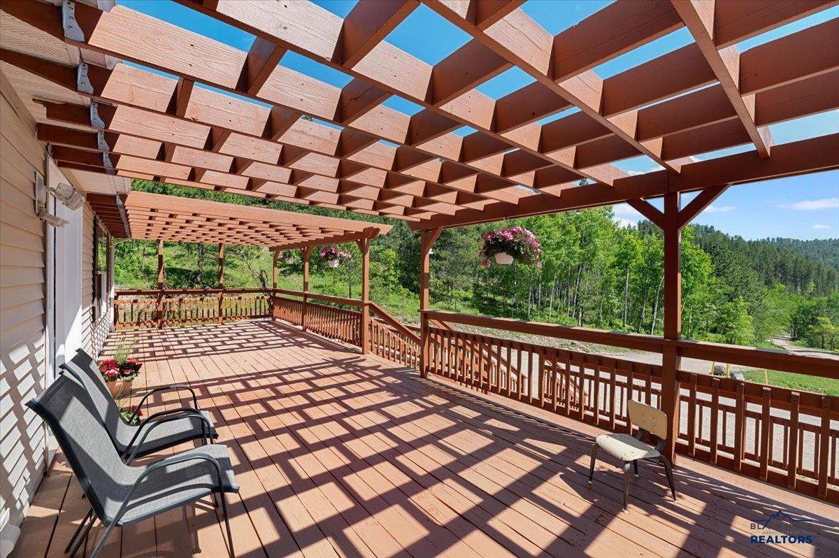 20813 Mollman R LEAD