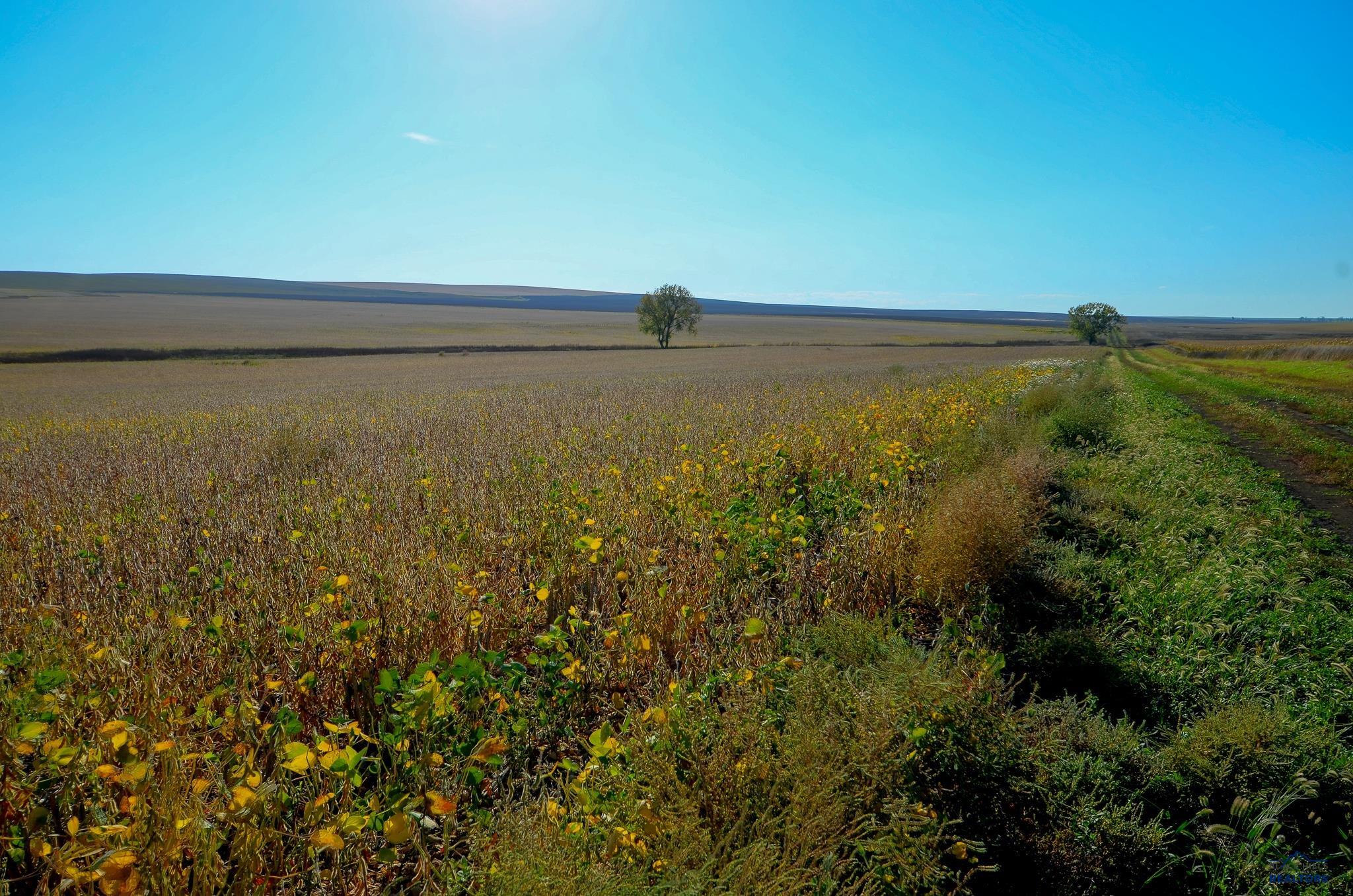 Photo 1 of 3 — 160 AC 236TH ST, Kennebec, SD 57544