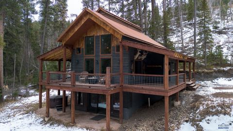 21120 GILDED MOUNTAIN RD Lead SD 57754