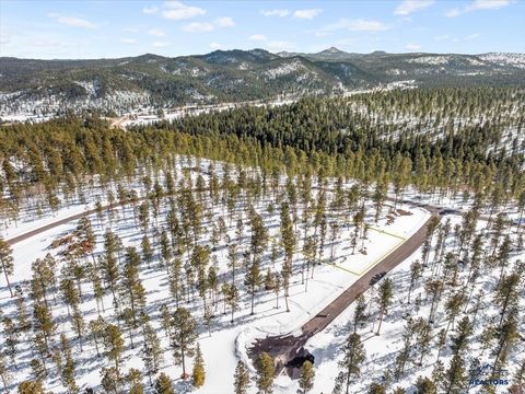 Lot 8 Block 4 OTHER Lead SD 57754