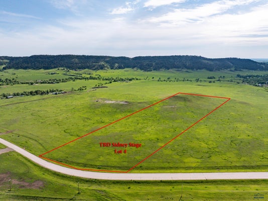 LOT 4 SIDNEY STAGE RD, PIEDMONT, SD 57769 - Image 5da0da4fe1e181a7401b2e5303dc9e7b/4190269689
