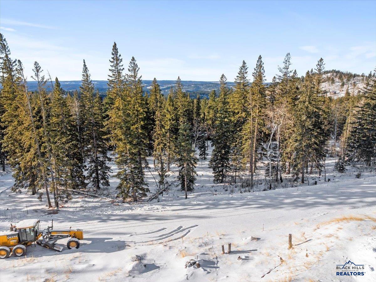 Lot 2 Block 1 LOST CAMP TRAIL