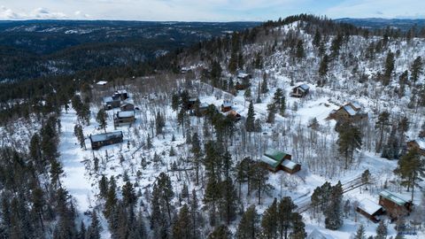 21163 TURKEY TRAIL Lead SD 57754