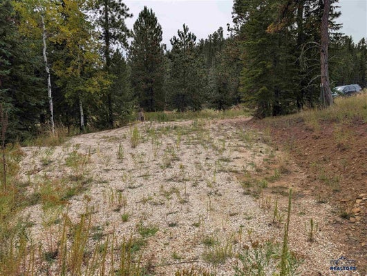 21606 GINTY CT, LEAD, SD 57754 - Image 5fc53a7b63c353e7ca00963cf490df0a/2206344437