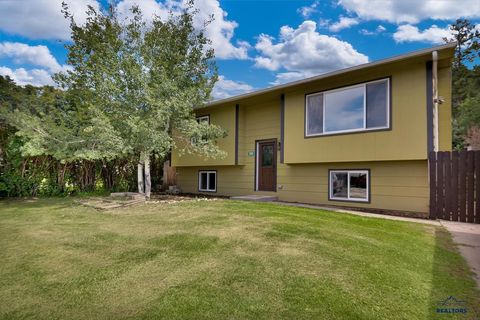 120 MATKINS CT Hill City SD 57745