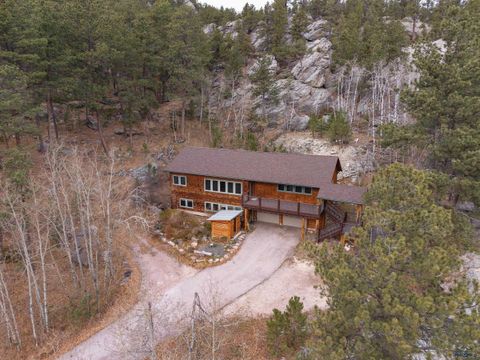 25073 LITTLE ITALY RD Custer SD 57730