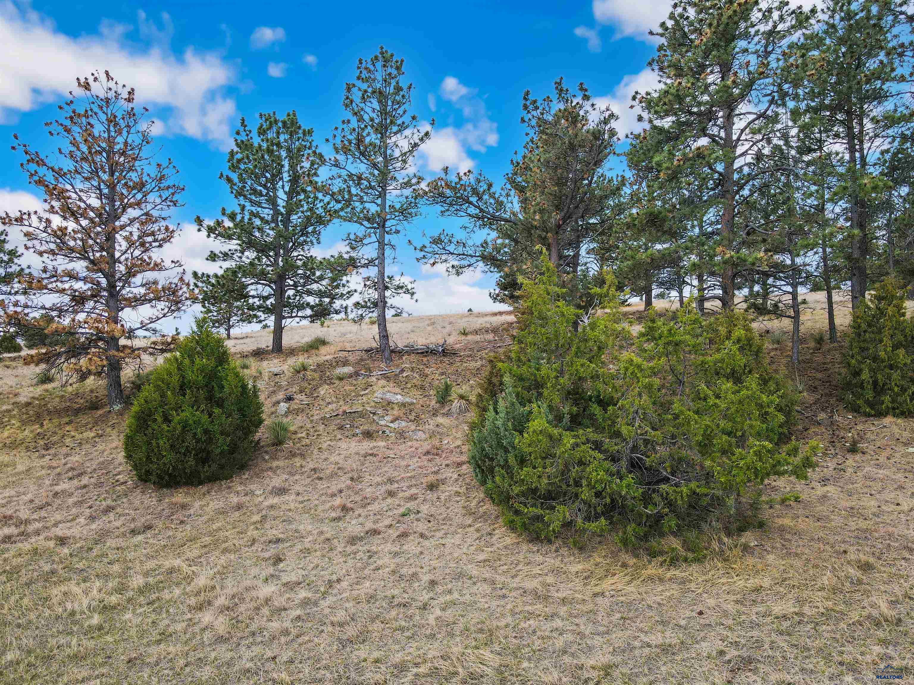 Lot 8 LAKE HILLS RD