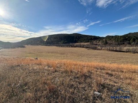 TBD CROOK MOUNTAIN RD Whitewood SD 57793