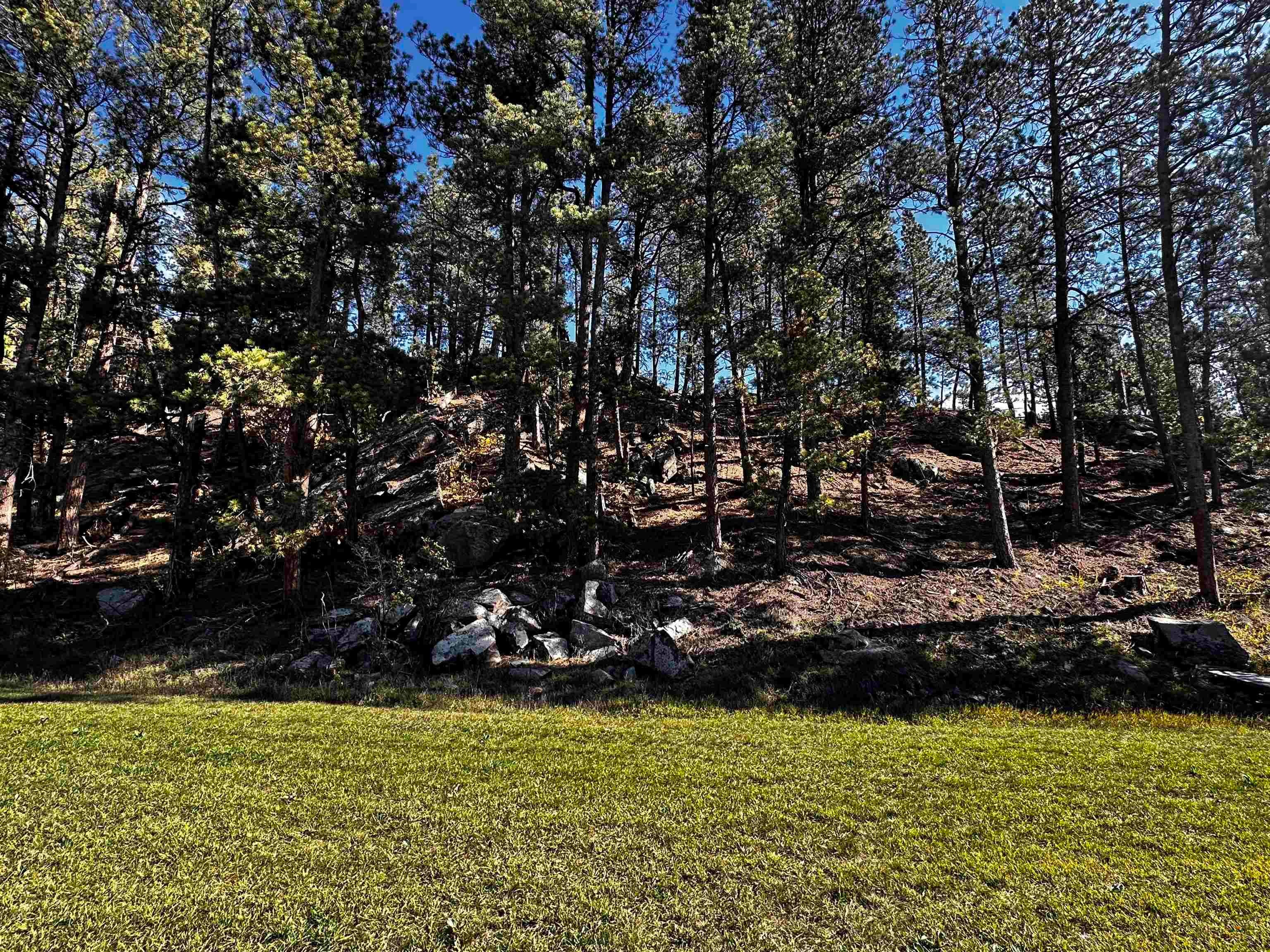 528 MAJOR LAKE DR