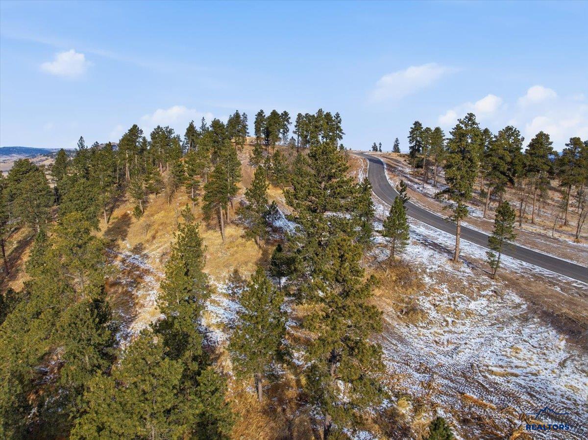 Lot 9 THREE PEAKS PASS RD