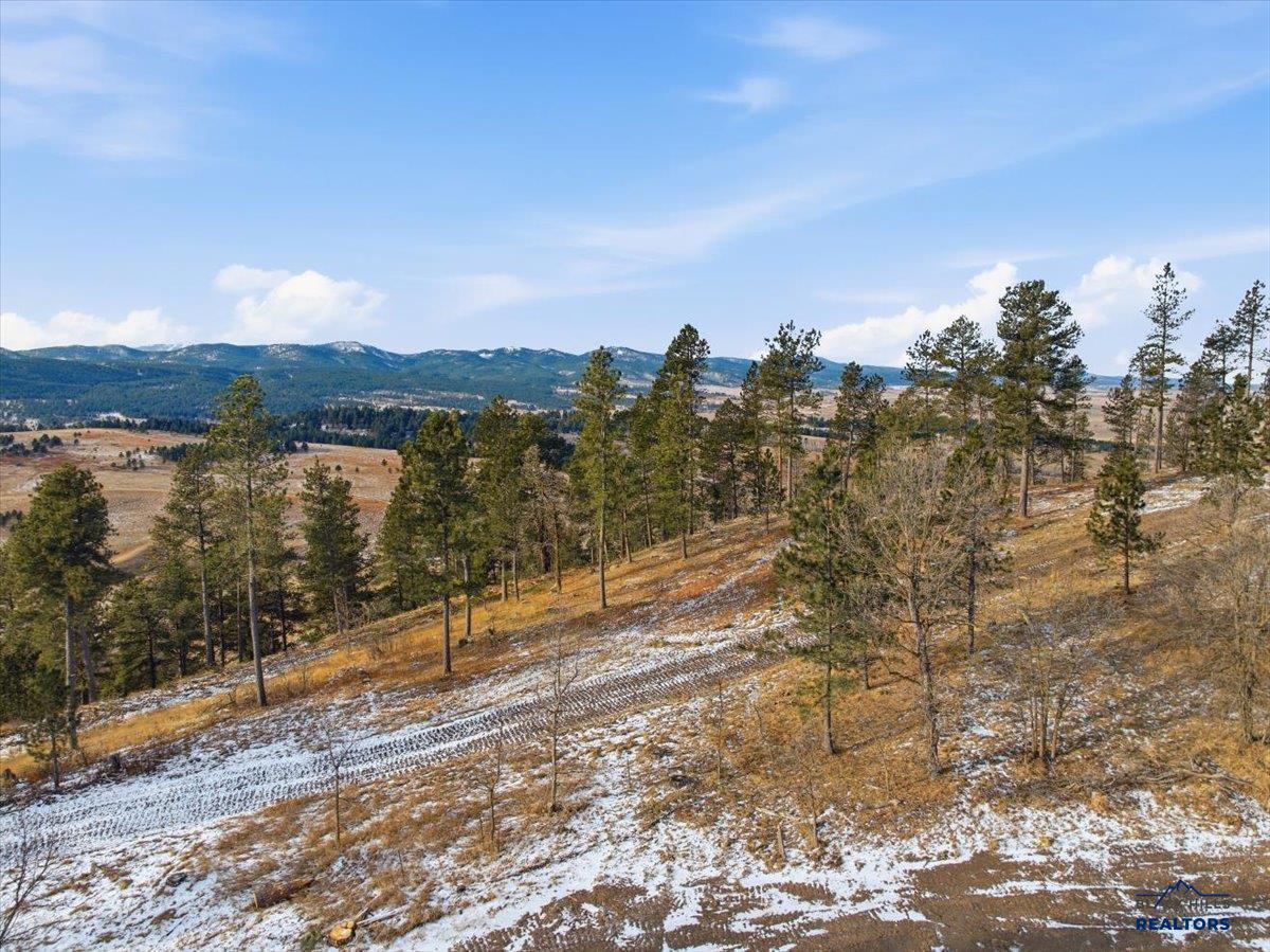 Lot 9 THREE PEAKS PASS RD